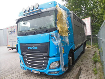 Camión transporte de ganado DAF XF 106 460